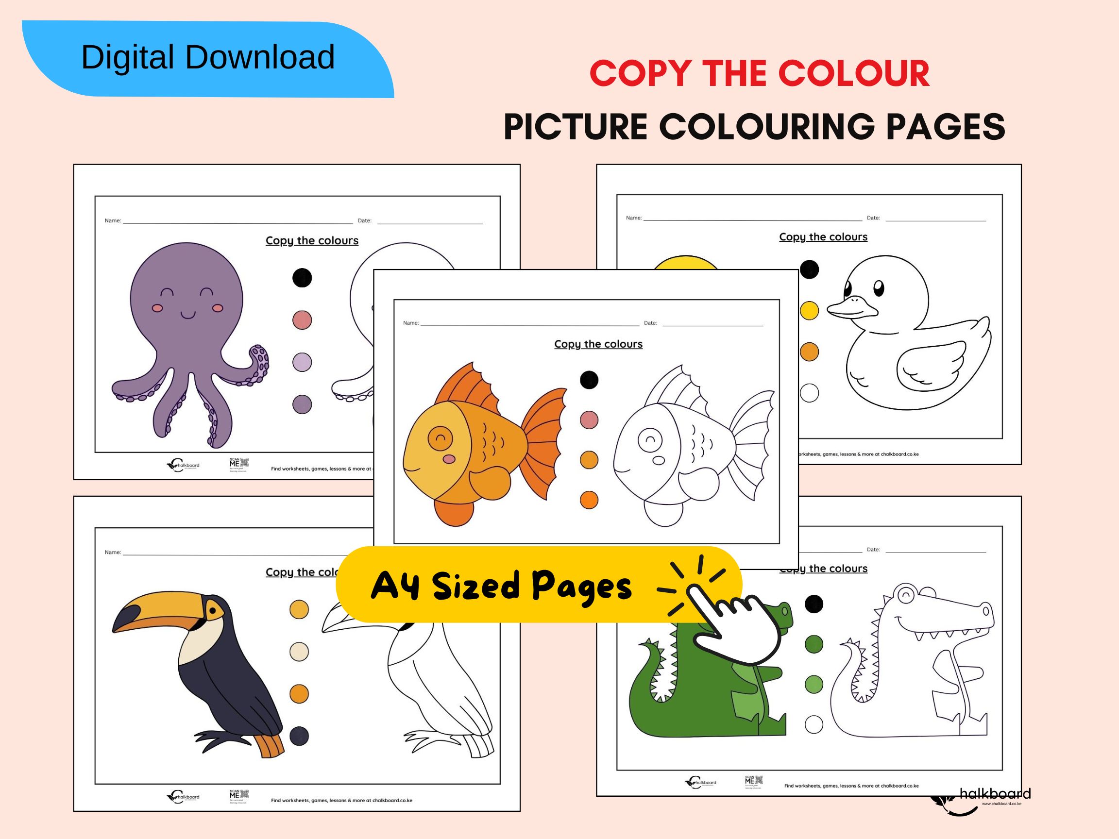 Copy the Colour Worksheet for Kids