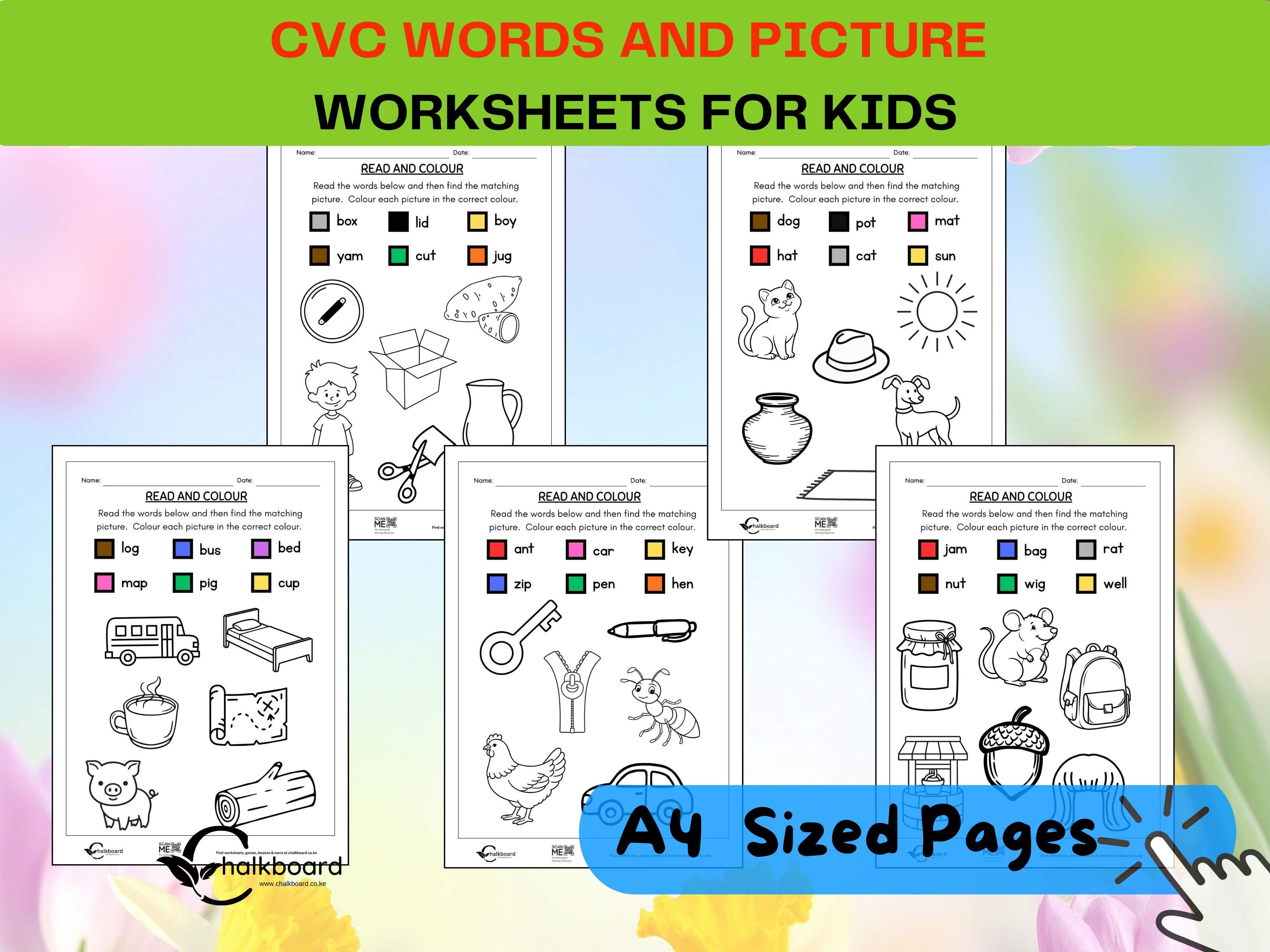 CVC read and color worksheets for kindergarten kids  | PDF download