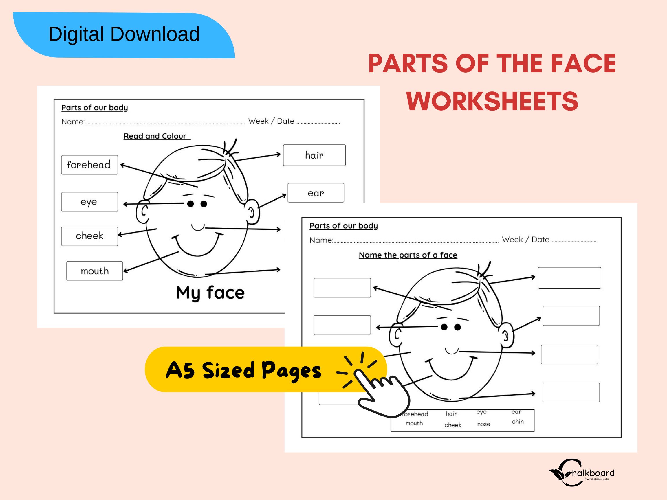 Easy - My Face Worksheets – Read, Colour & Label the Parts of the Face