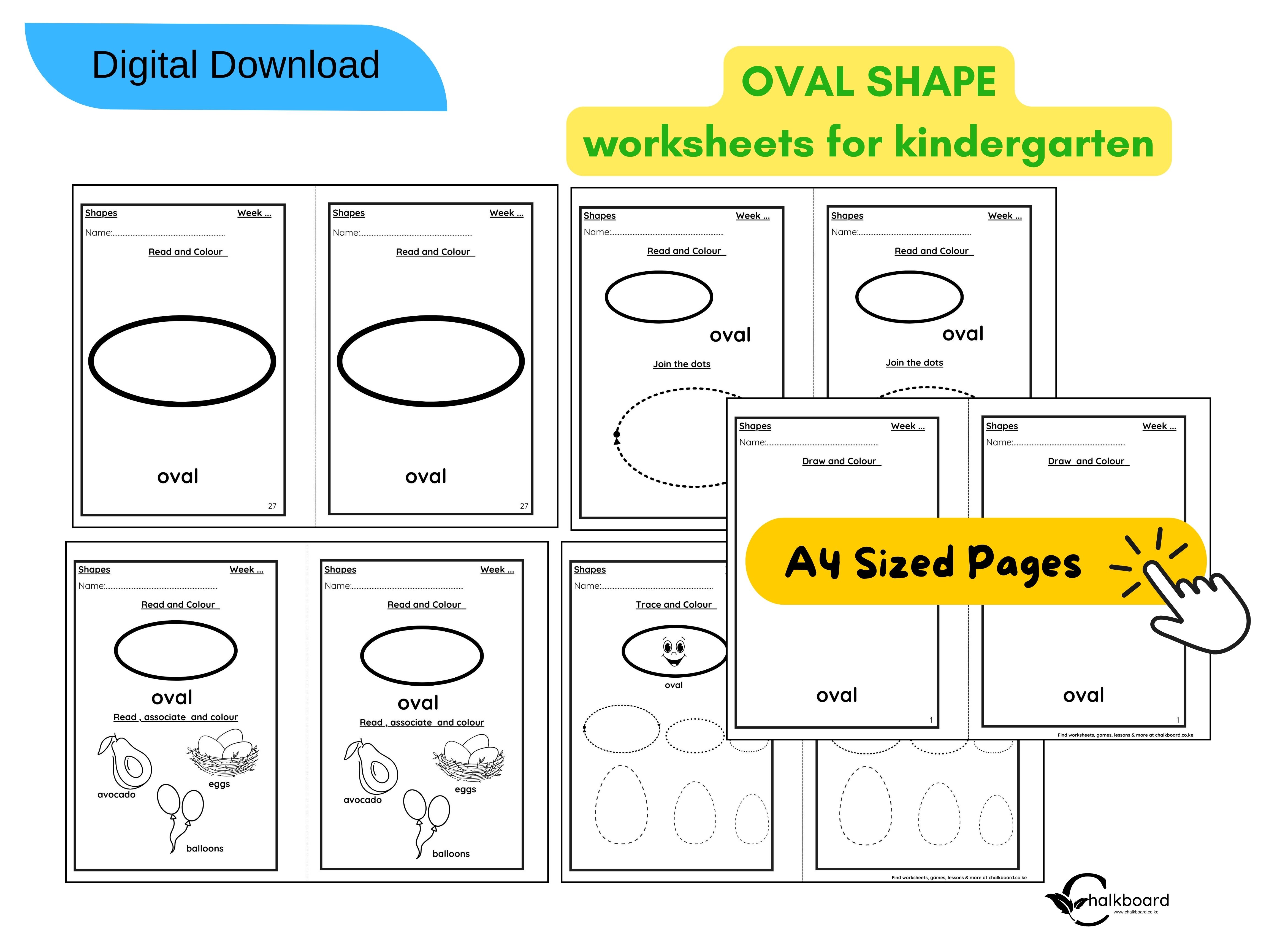 OVAL SHAPE KINDERGARTEN WORKSHEETS | PDF PRINTABLE