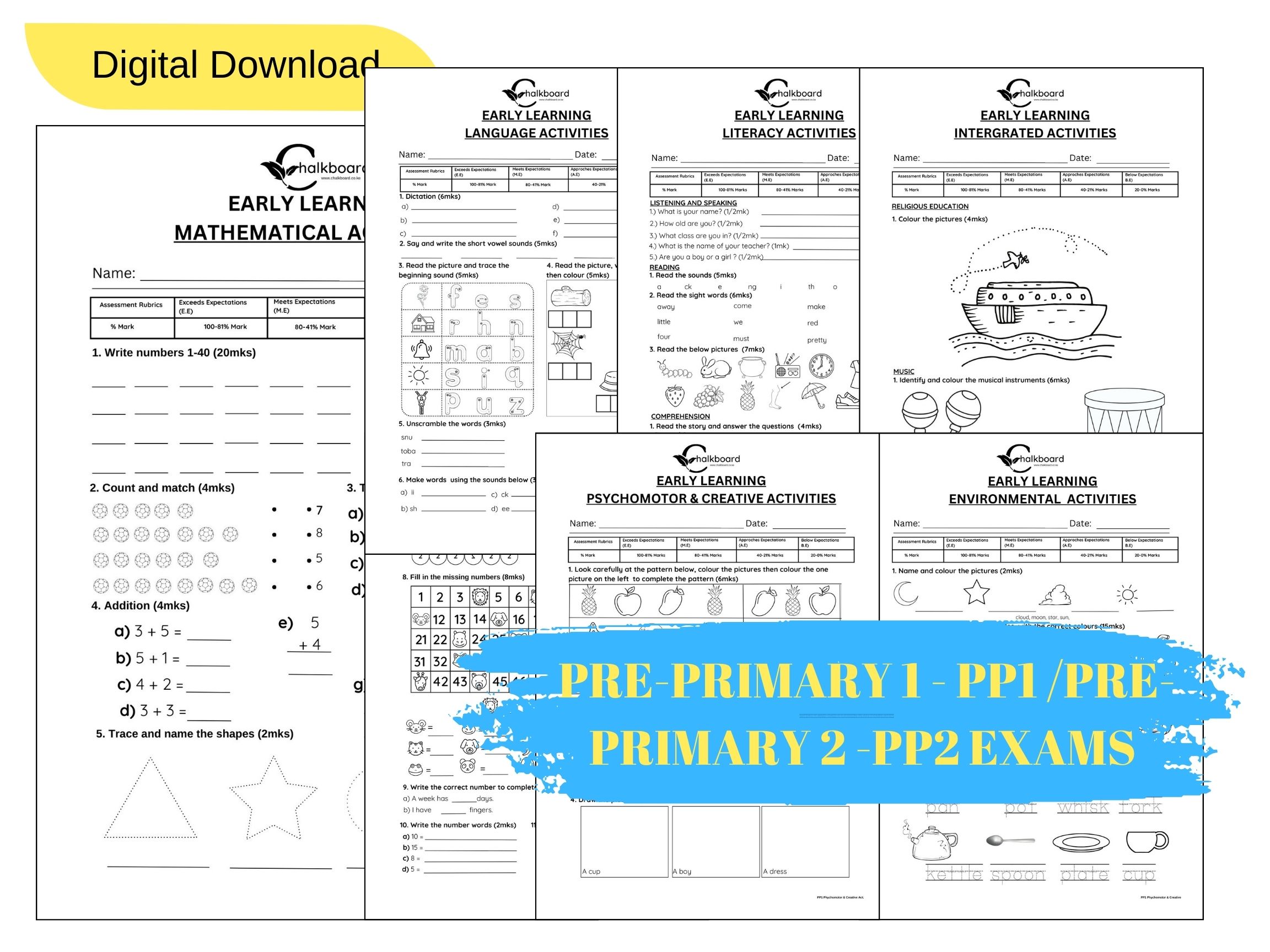 PRINTABLE PP1/PP2 EXAMS IN PDF