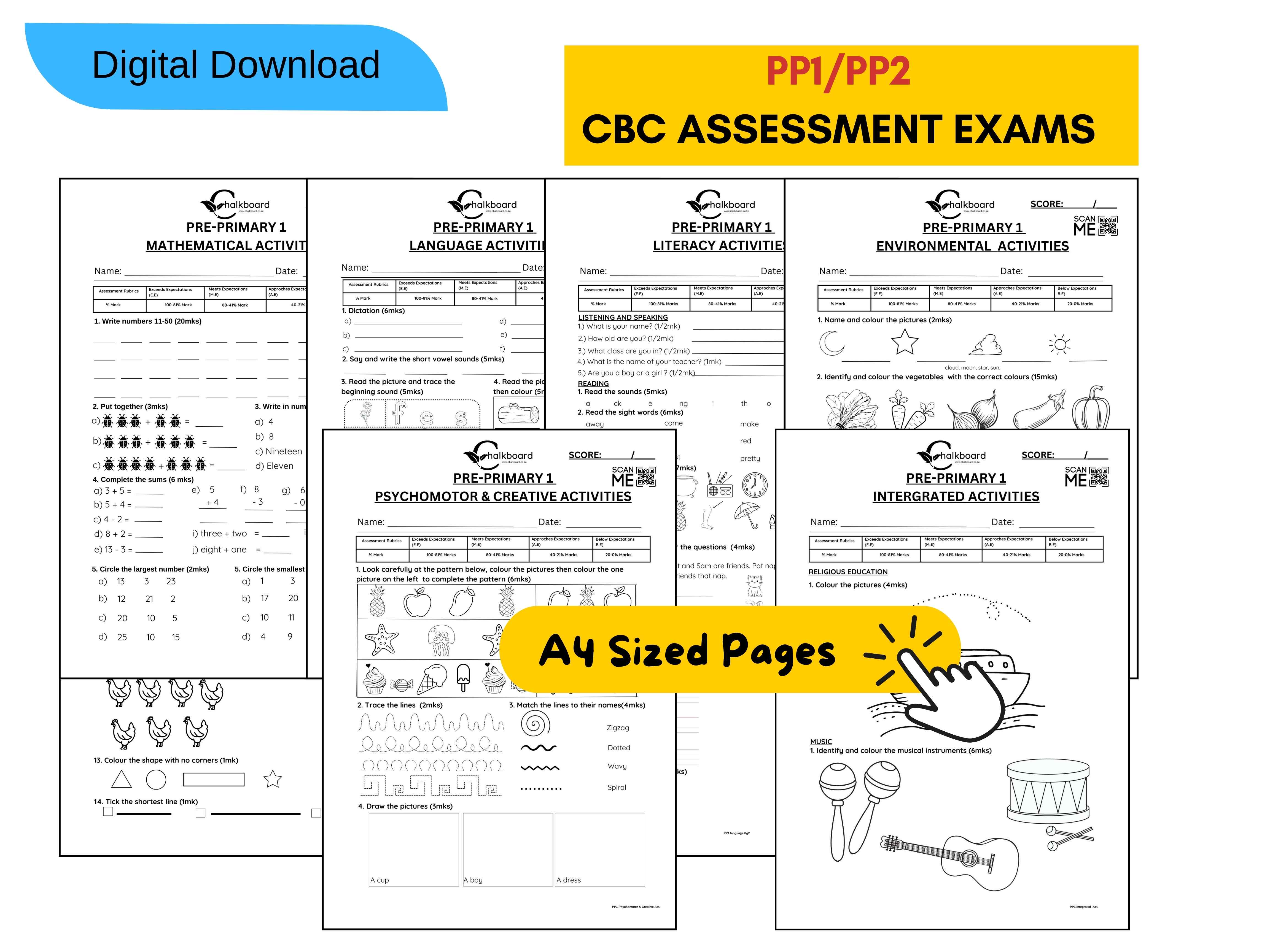 PRINTABLE PP1/PP2 EXAMS IN PDF